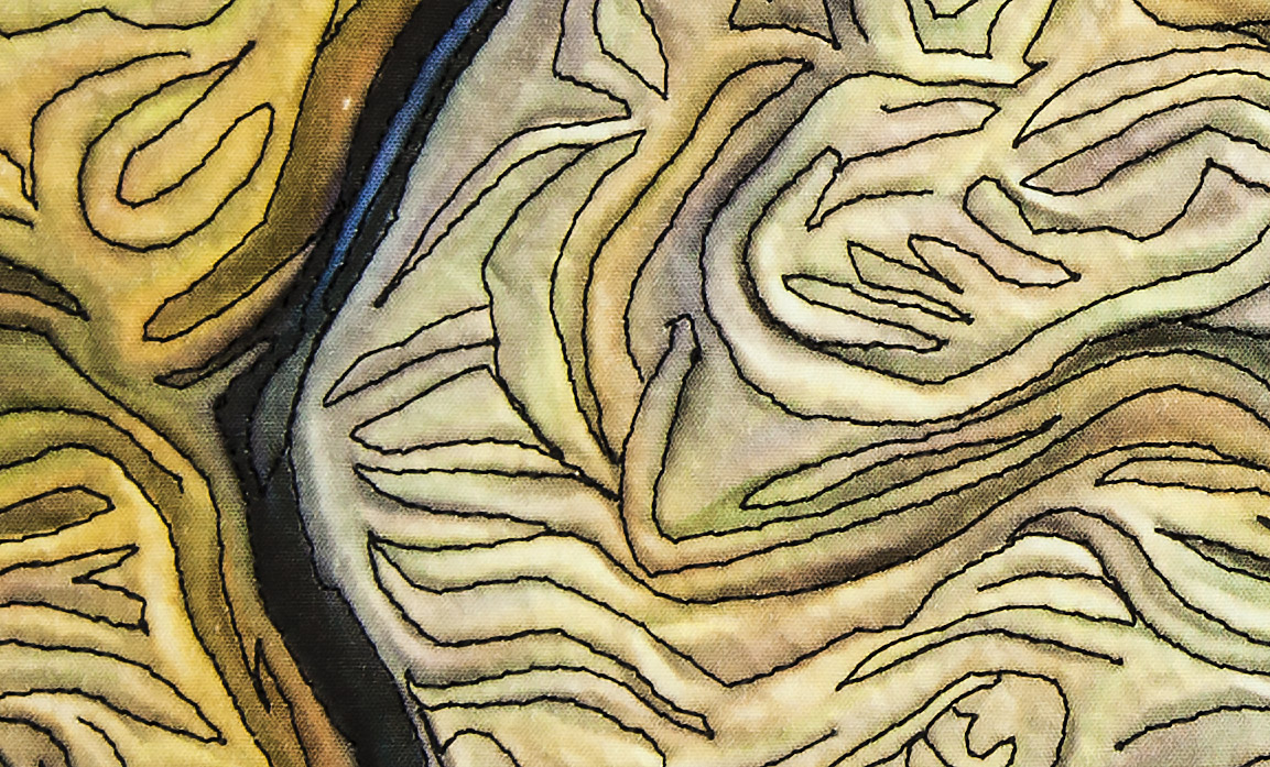 ebb and flow detail